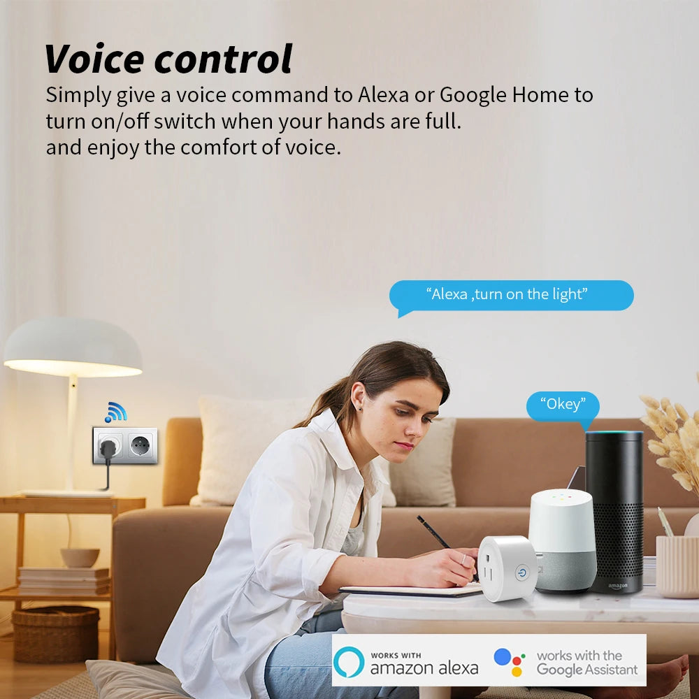 Smart WiFi Plug with Timer and Voice Control