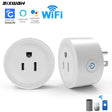 Smart WiFi Plug with Timer and Voice Control